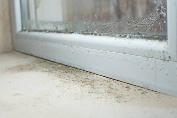 Best Emergency Mold Remediation  in Bowling Green, MO